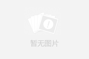 生產(chǎn)適合市場需要的小型發(fā)電機